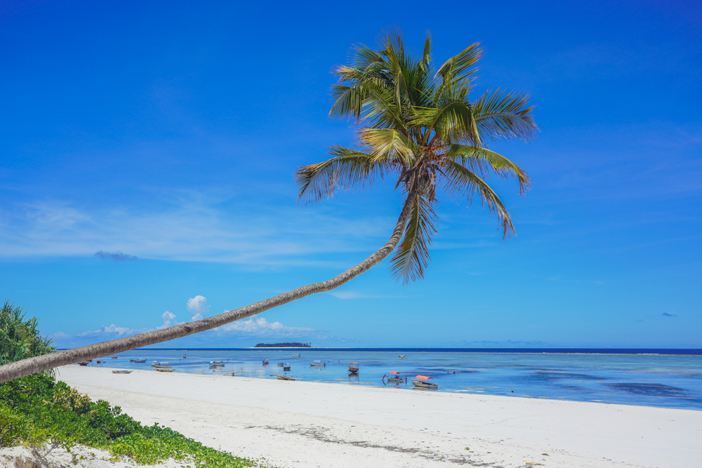 Zanzibar Tanzania Fotoreise